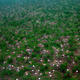 Image for article titled 9 Massive Refugee Camps That Are Home to Nearly 1.5 Million People